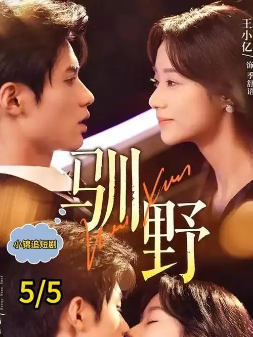汉化日记 缩略图
